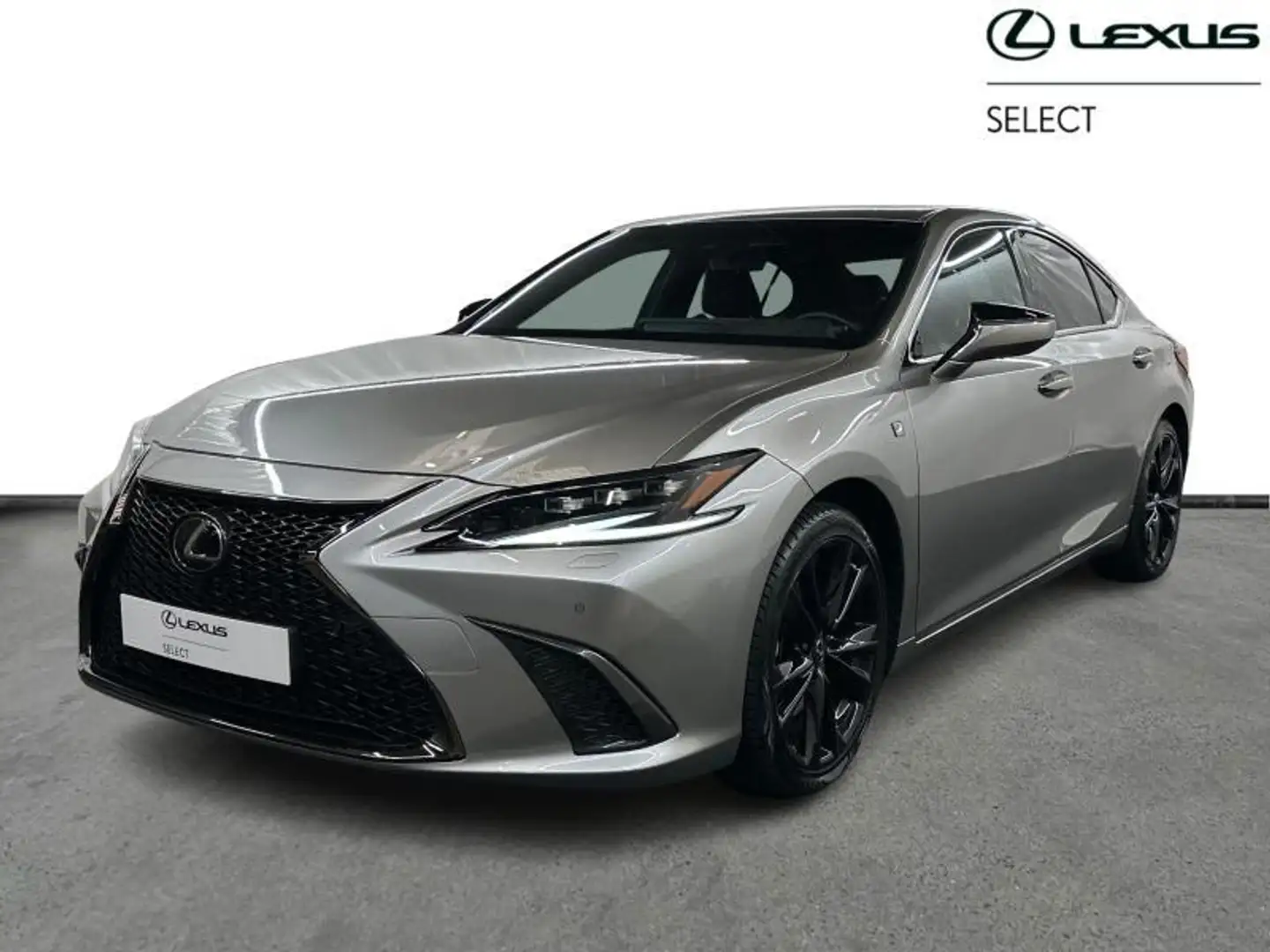 Lexus ES 300 F SPORT Line Or - 1