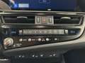 Lexus ES 300 F SPORT Line Or - thumbnail 24