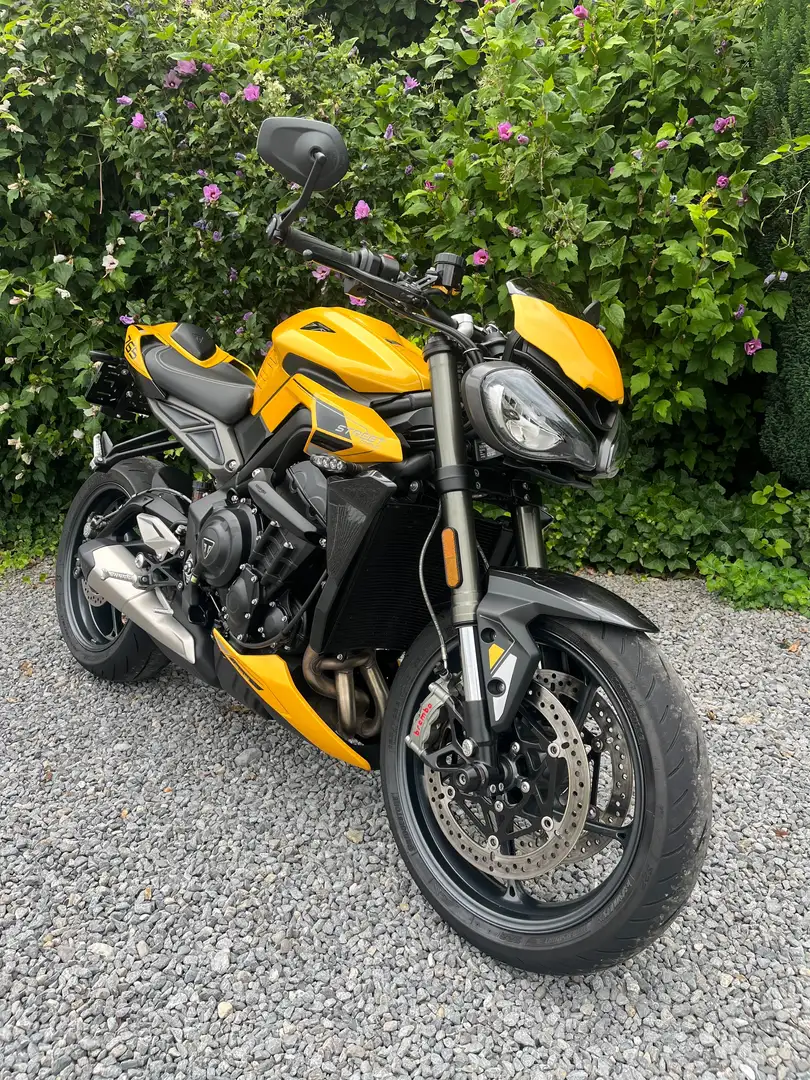 Triumph Street Triple RS Street Triple 765 RS Giallo - 1