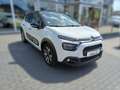 Citroen C3 Shine Weiß - thumbnail 5