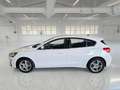 Ford Focus 1.0 EcoBoost 125cv Business 5 PORTE - thumbnail 5