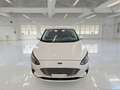 Ford Focus 1.0 EcoBoost 125cv Business 5 PORTE - thumbnail 2