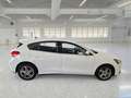 Ford Focus 1.0 EcoBoost 125cv Business 5 PORTE - thumbnail 3