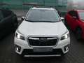 Subaru Forester 2.0ie PLATINUM*4X4*WERKS- & ANSCHLUSSGARANTIE*LED* Wit - thumbnail 2