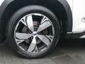 Subaru Forester 2.0ie PLATINUM*4X4*WERKS- & ANSCHLUSSGARANTIE*LED* Wit - thumbnail 5