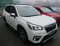 Subaru Forester 2.0ie PLATINUM*4X4*WERKS- & ANSCHLUSSGARANTIE*LED* Wit - thumbnail 3