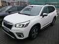 Subaru Forester 2.0ie PLATINUM*4X4*WERKS- & ANSCHLUSSGARANTIE*LED* Wit - thumbnail 1