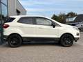 Ford EcoSport 1.0 EcoBoost Titanium 125PK Winterpack Cruise Navi Weiß - thumbnail 8