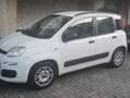 Fiat Panda 1.2i Easy Blanc - thumbnail 2