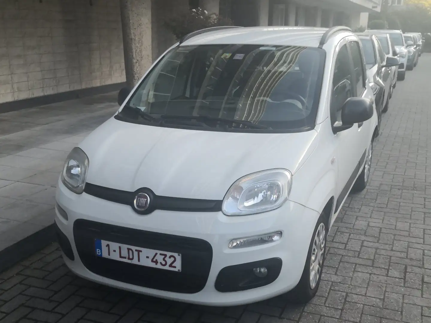 Fiat Panda 1.2i Easy Blanc - 1