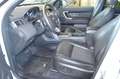 Land Rover Discovery Sport SE AWD XENON / NAVI / LEDER Weiß - thumbnail 11