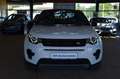 Land Rover Discovery Sport SE AWD XENON / NAVI / LEDER Weiß - thumbnail 5