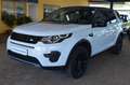 Land Rover Discovery Sport SE AWD XENON / NAVI / LEDER Weiß - thumbnail 1