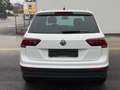 Volkswagen Tiguan Comfortline*Keyless*PDC* Weiß - thumbnail 6