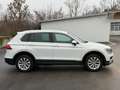 Volkswagen Tiguan Comfortline*Keyless*PDC* Weiß - thumbnail 5