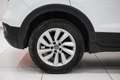 Volkswagen T-Cross 1.0 TSI Style Bianco - thumbnail 7