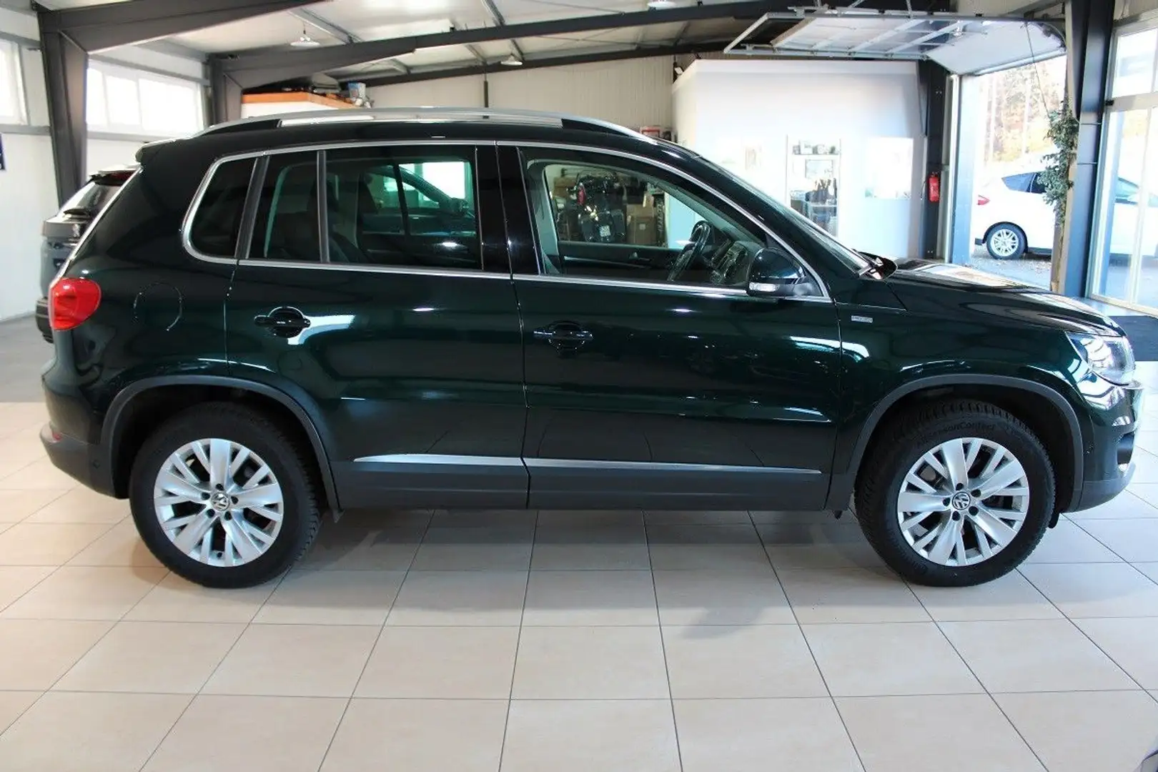 Volkswagen Tiguan Life 1,4 Tsi*Tüv NEU*Allwetter*Navi*AHK* Grün - 2