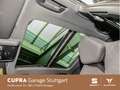 CUPRA Terramar 2.0 TSI  DSG 195 kW Schwarz - thumbnail 13