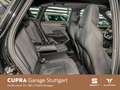 CUPRA Terramar 2.0 TSI  DSG 195 kW Schwarz - thumbnail 14