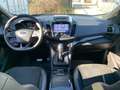 Ford Kuga 2.0 EcoBoost ST-Line ALLRAD+NAVI+PANORAMA Grau - thumbnail 14