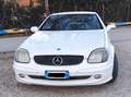 Mercedes-Benz SLK 200 kompressor evo special edition Bianco - thumbnail 4