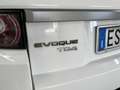 Land Rover Range Rover Evoque Range Rover Evoque 5p 2.2 td4 Pure 150cv Bianco - thumbnail 32