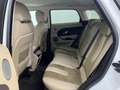Land Rover Range Rover Evoque Range Rover Evoque 5p 2.2 td4 Pure 150cv Bianco - thumbnail 14
