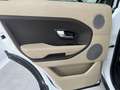 Land Rover Range Rover Evoque Range Rover Evoque 5p 2.2 td4 Pure 150cv Bianco - thumbnail 17