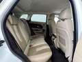Land Rover Range Rover Evoque Range Rover Evoque 5p 2.2 td4 Pure 150cv Bianco - thumbnail 13