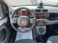 Fiat Panda 1.2 easypower City Life Gpl,UNICO PROP.,CLIMA,RADI Grigio - thumbnail 9
