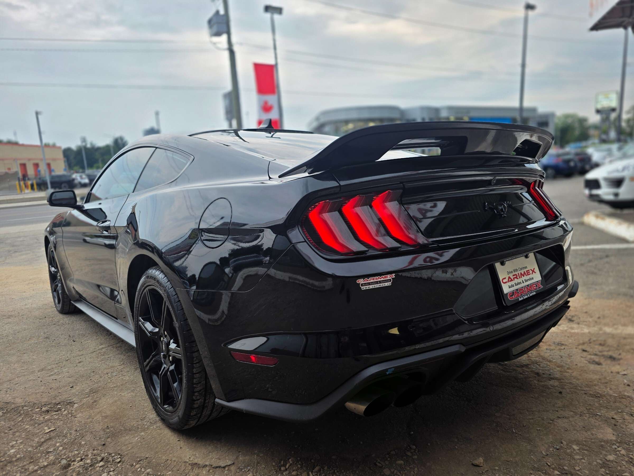 2020 Ford Mustang EcoBoost Premium LOW KMS | NAVI | LEATHER | VENTED — снимка 3
