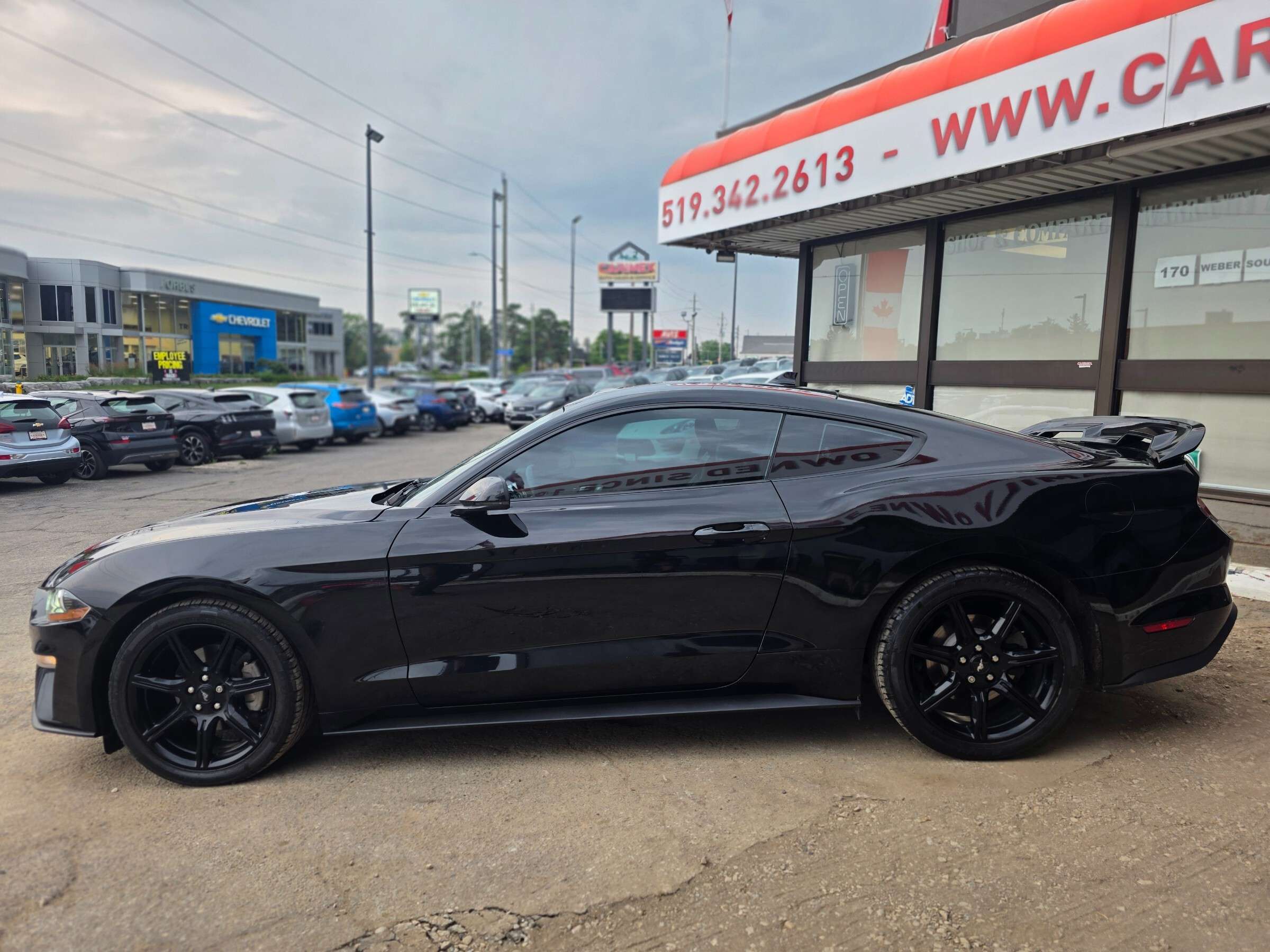 2020 Ford Mustang EcoBoost Premium LOW KMS | NAVI | LEATHER | VENTED — снимка 2
