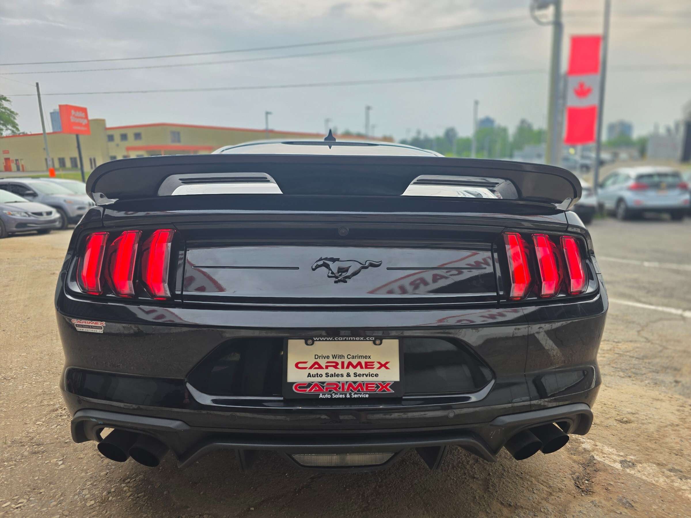 2020 Ford Mustang EcoBoost Premium LOW KMS | NAVI | LEATHER | VENTED — снимка 4