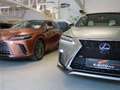 Lexus RX 450h AWD *F-SPORT *VOLLAUSSTATTUNG *GARANTIE *TOP Grau - thumbnail 2