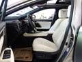 Lexus RX 450h AWD *F-SPORT *VOLLAUSSTATTUNG *GARANTIE *TOP Grau - thumbnail 23