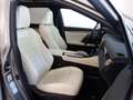 Lexus RX 450h AWD *F-SPORT *VOLLAUSSTATTUNG *GARANTIE *TOP Grau - thumbnail 15
