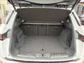 Land Rover Range Rover Evoque R-Dynamic SE D200 LEDER TWA Blanco - thumbnail 25
