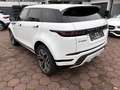 Land Rover Range Rover Evoque R-Dynamic SE D200 LEDER TWA Blanco - thumbnail 4