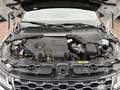 Land Rover Range Rover Evoque R-Dynamic SE D200 LEDER TWA Blanco - thumbnail 21