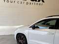 CUPRA Ateca 2.0 TSI 221kW 300CV 4Drive DSG StSp Weiß - thumbnail 4