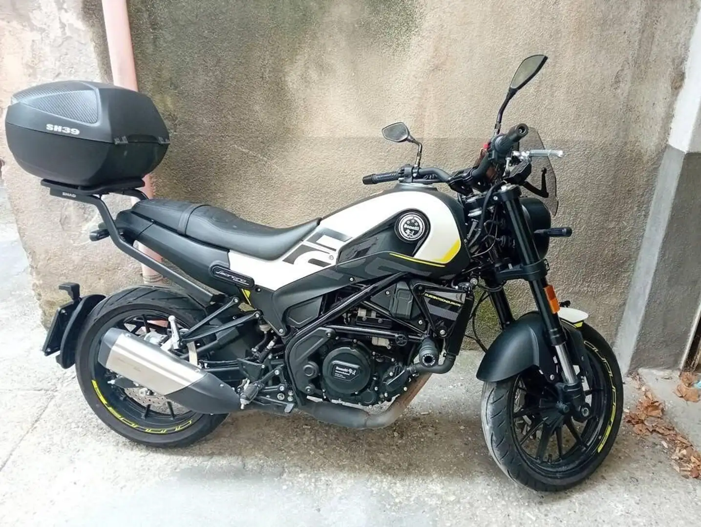 Benelli Leoncino Blanco - 1