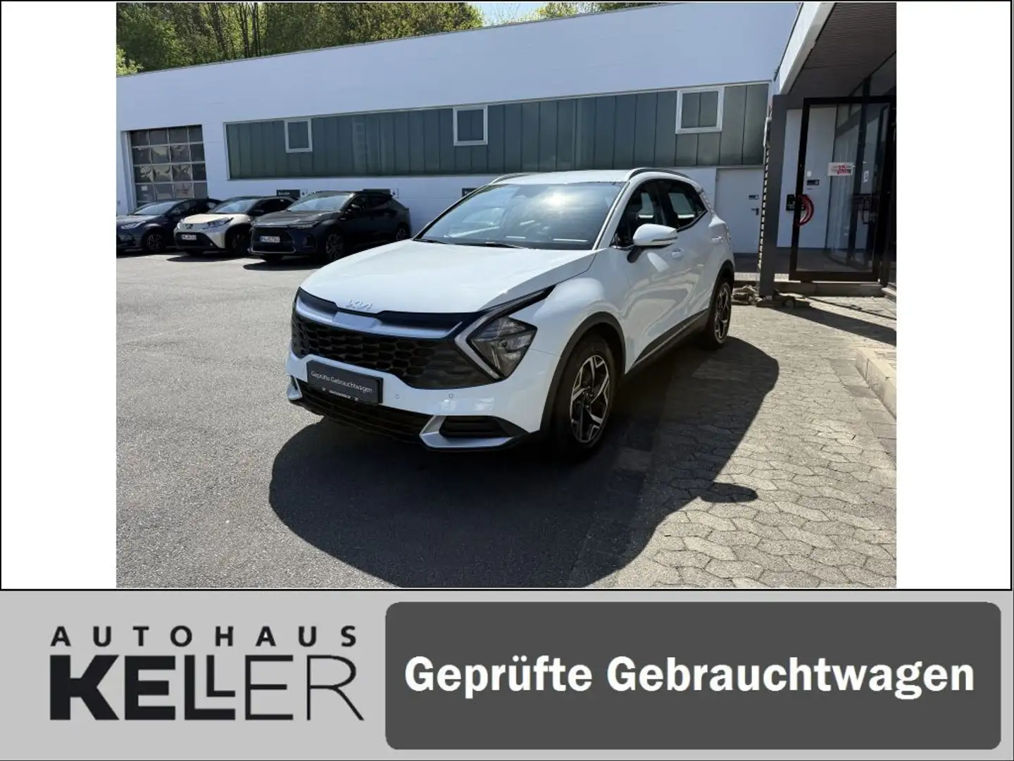 Kia Sportage 1.6 T-GDI 2WD Eco-Dyn.+ (48V M-H) DCT Vision Weiß - 1
