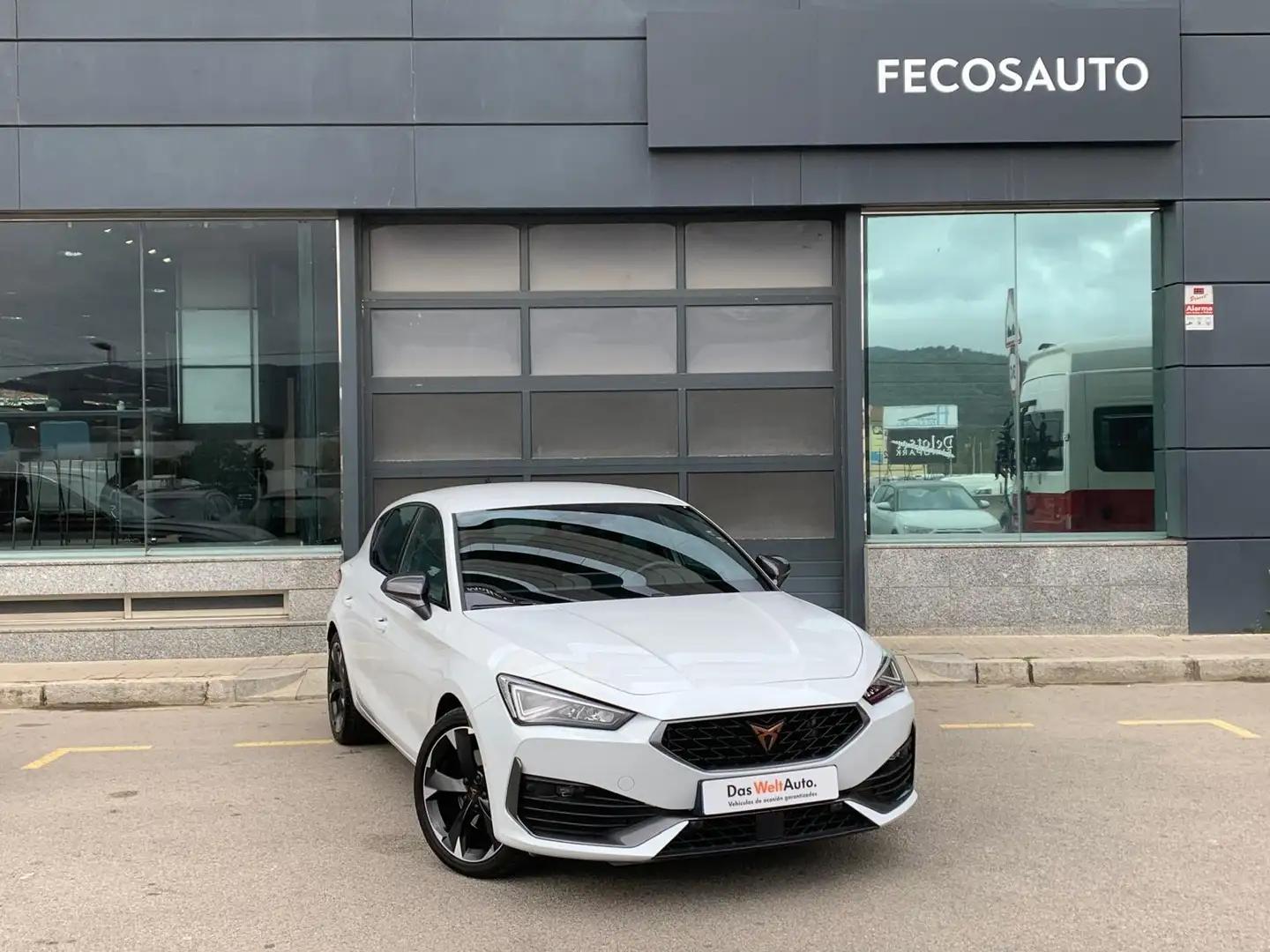 CUPRA 1.5 eTSI 110kW (150CV) DSG Белый - 1