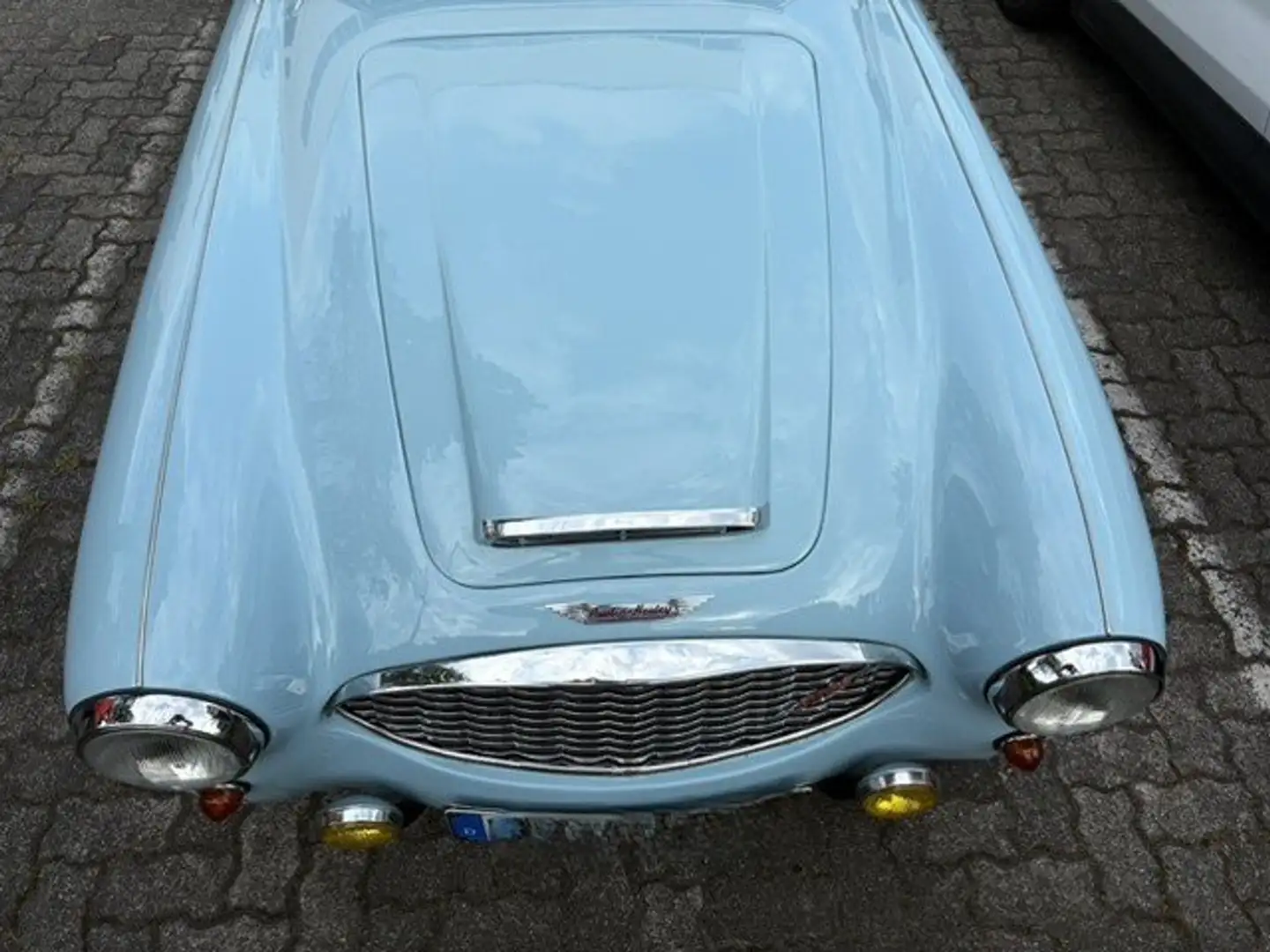 Austin-Healey 3000 BN7 Blau - 2