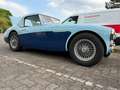 Austin-Healey 3000 BN7 Mavi - thumbnail 19