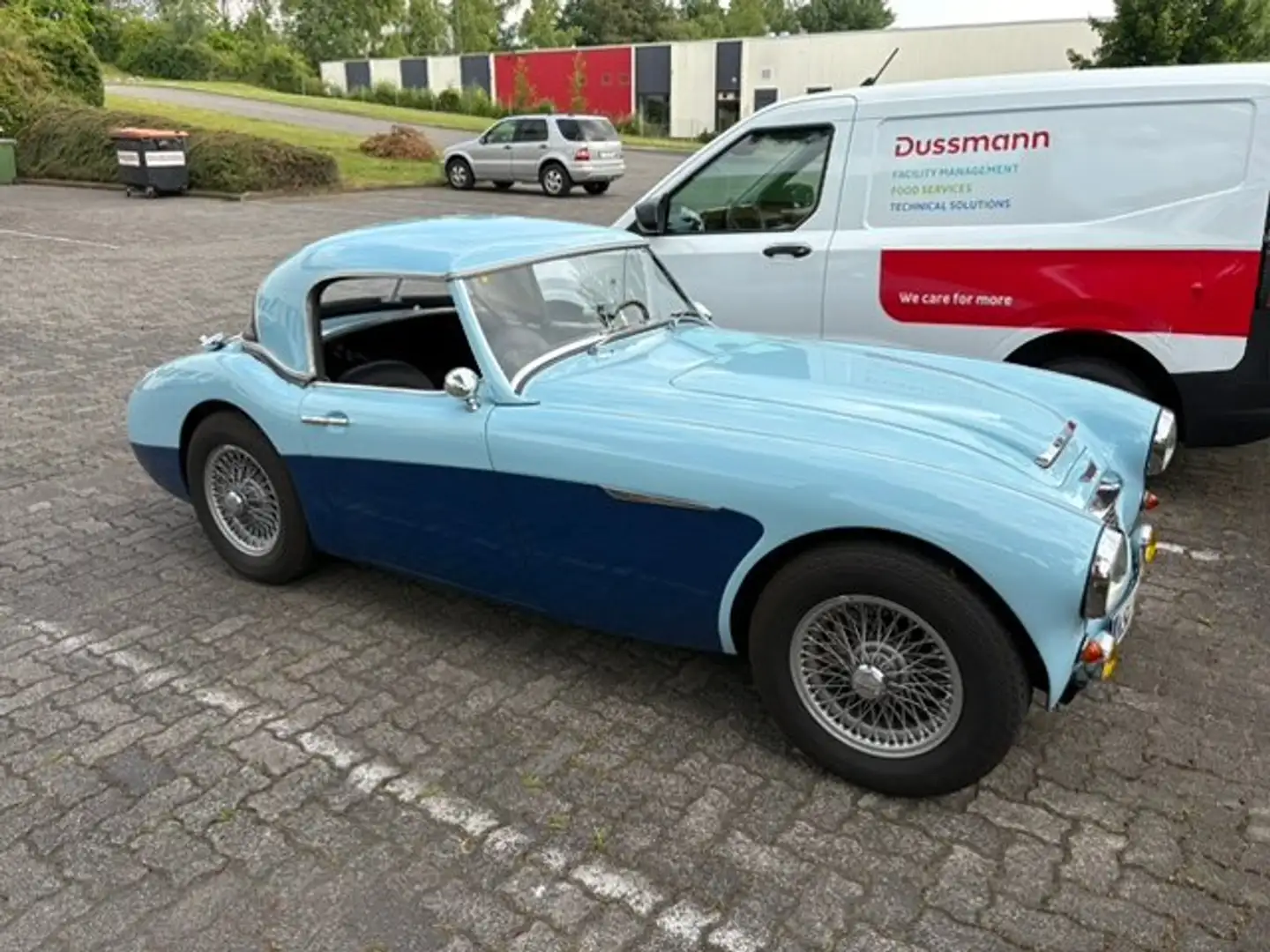 Austin-Healey 3000 BN7 Blau - 1