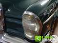 Mercedes-Benz 220 SE 2.2 Coupé 120cv Manuale - ASI Vert - thumbnail 16