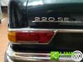 Mercedes-Benz 220 SE 2.2 Coupé 120cv Manuale - ASI Vert - thumbnail 17