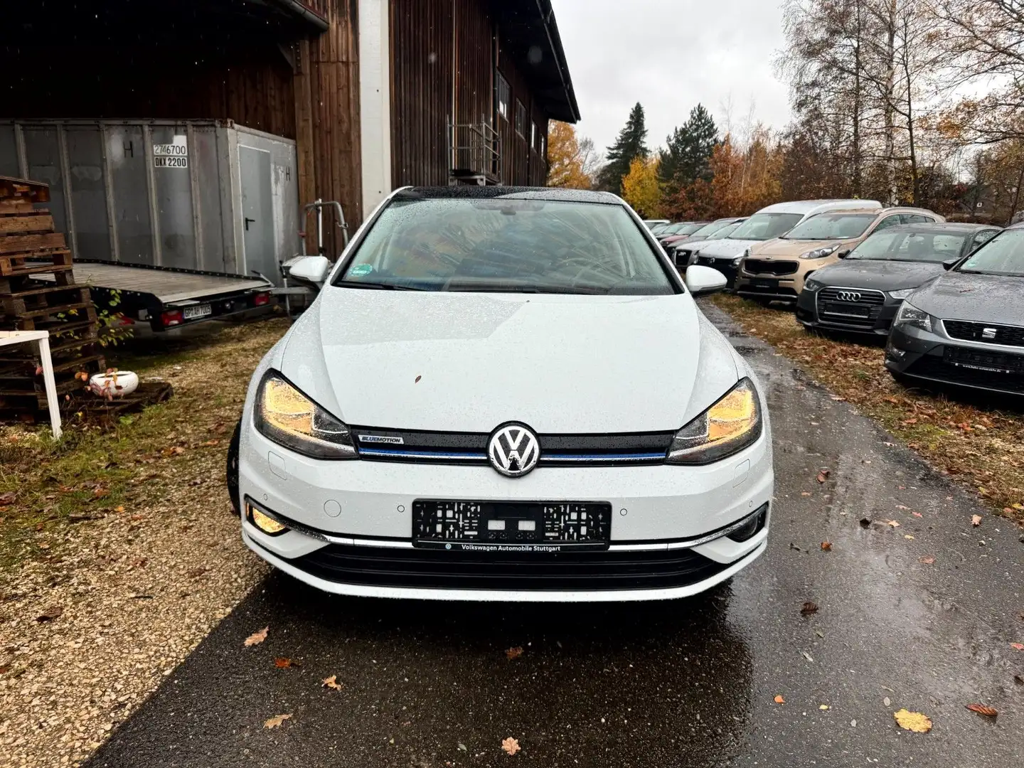 Volkswagen Golf VII Lim. Sound **PANO/ACC/SHZ/CAM** Weiß - 2