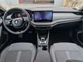 Skoda Octavia Selection TSI mHEV DSG Weiß - thumbnail 6